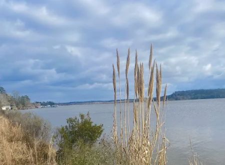 Gantt Lake RV Park and Rentals