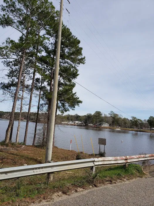 Gantt Lake RV Park and Rentals Picture 7