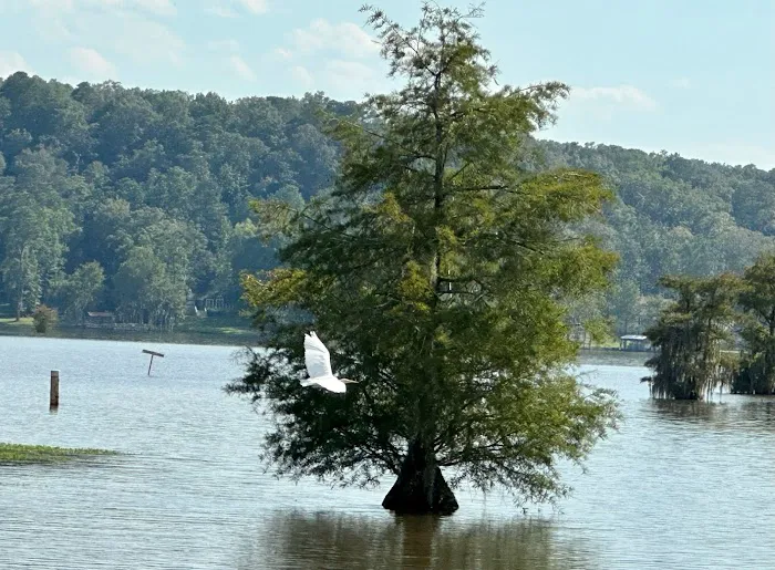 Cypress Landing RV Park & Lakeside Club Picture 6