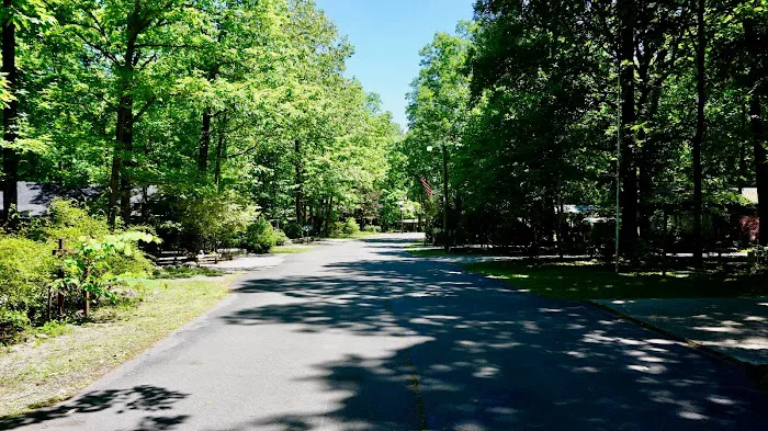 Tennessee Cumberland Plateau Campground Picture 6
