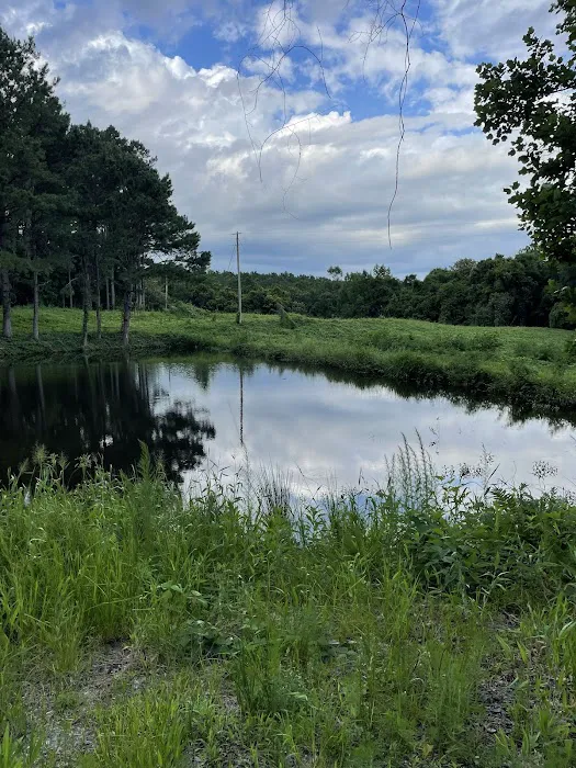 Fox Valley RV Park Picture 3
