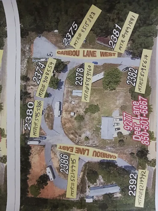 Deer Trail Estates RV/Mobilehome Park Picture 4