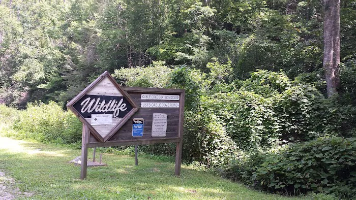 Cable Cove Campground, Cheoah Ranger District, Nantahala National Forest Picture 2