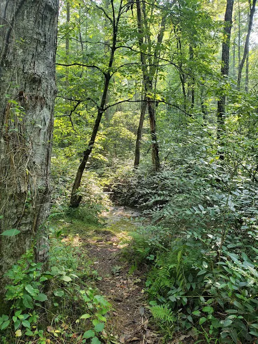 Cable Cove Campground, Cheoah Ranger District, Nantahala National Forest Picture 7