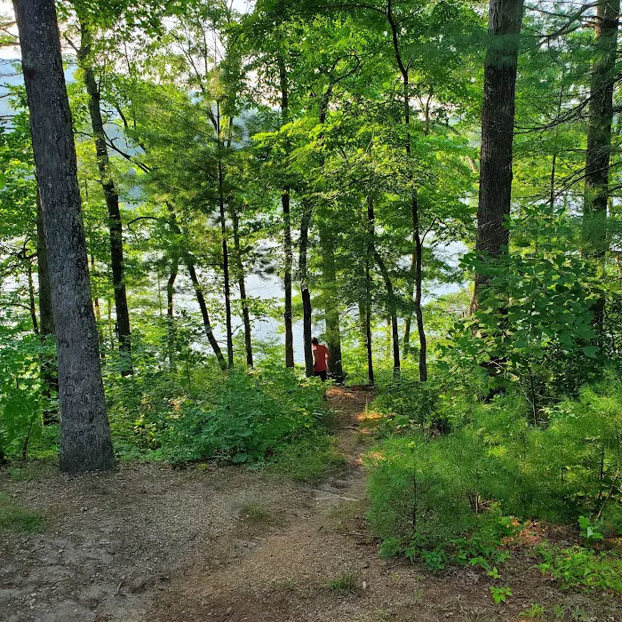 Cheoah Point Campground, Cheoah Ranger District, Nantahala National Forest Picture 3