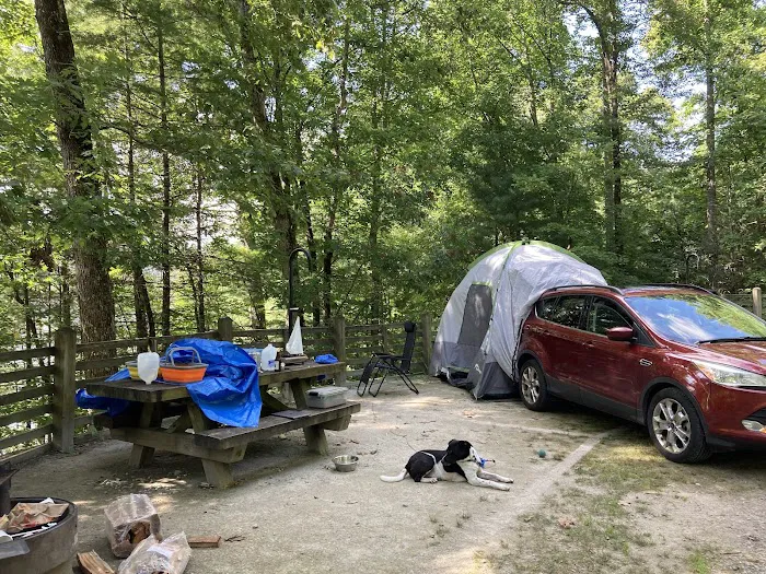 Cheoah Point Campground, Cheoah Ranger District, Nantahala National Forest Picture 7