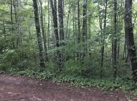 Horse Cove Campground, Cheoah Ranger District, Nantahala National Forest