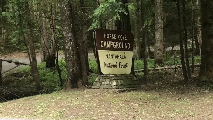 Horse Cove Campground, Cheoah Ranger District, Nantahala National Forest Picture 2