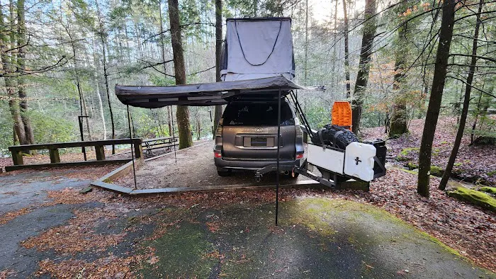 Horse Cove Campground, Cheoah Ranger District, Nantahala National Forest Picture 9