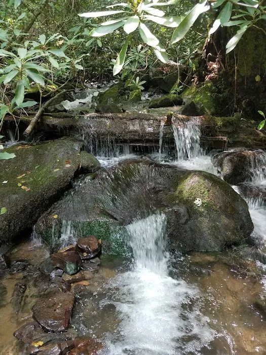Horse Cove Campground, Cheoah Ranger District, Nantahala National Forest Picture 5