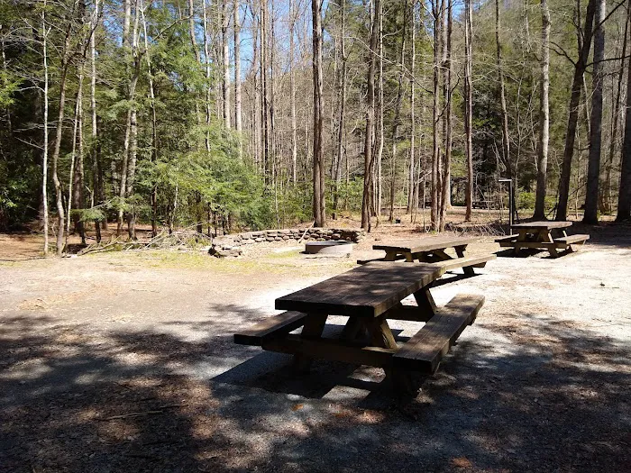 Rattler Ford Campground, Cheoah Ranger District, Nantahala National Forest Picture 3