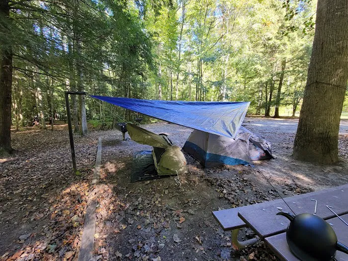 Rattler Ford Campground, Cheoah Ranger District, Nantahala National Forest Picture 6