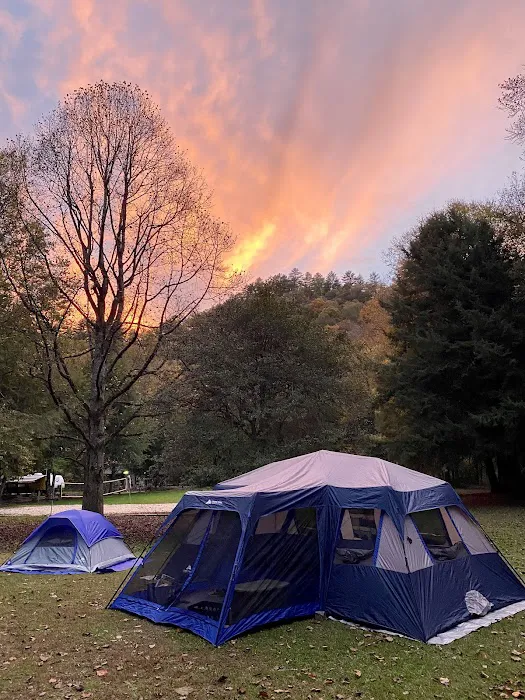 Rattler Ford Campground, Cheoah Ranger District, Nantahala National Forest Picture 7