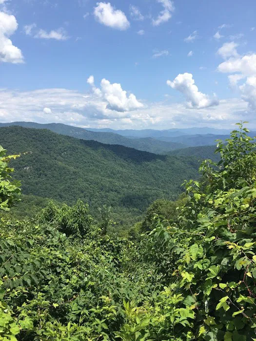 Rattler Ford Campground, Cheoah Ranger District, Nantahala National Forest Picture 5