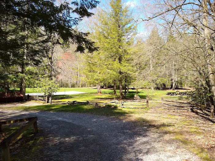 Rattler Ford Campground, Cheoah Ranger District, Nantahala National Forest Picture 4