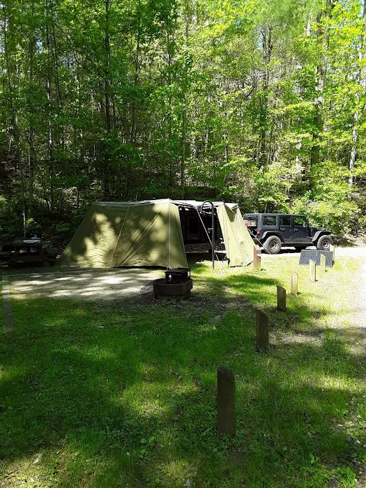 Cheoah Point Campground Picture 9