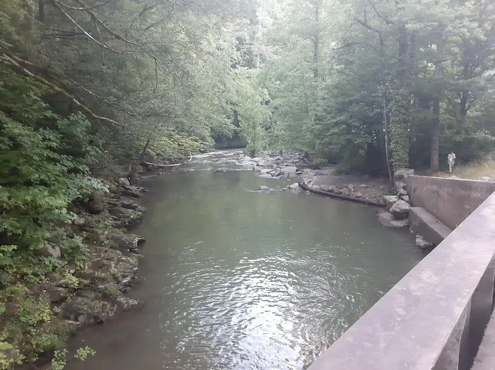 Doublecamp Campground Picture 9