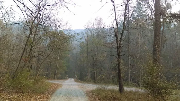 Doublecamp Campground Picture 2
