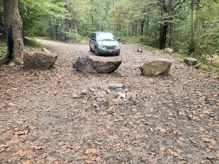Cherokee National Forest Citico Creek Campsite 3 Picture 10