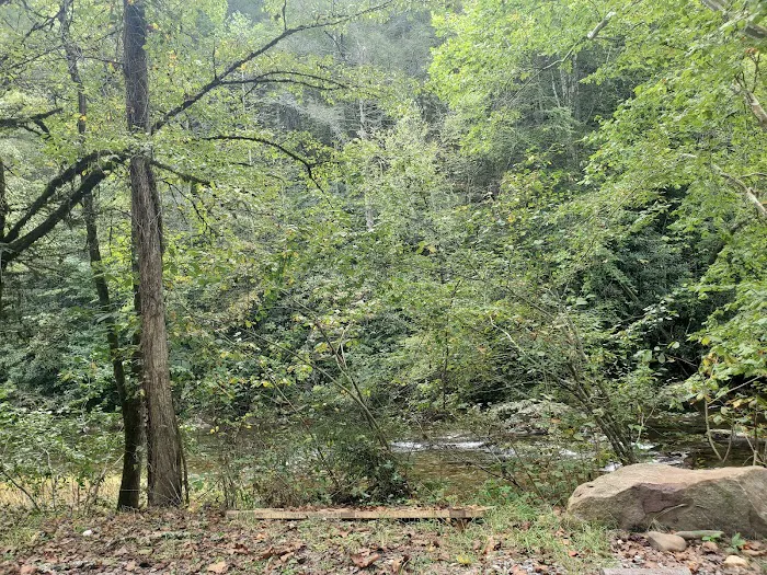 Cherokee National Forest Citico Creek Campsite 3 Picture 9