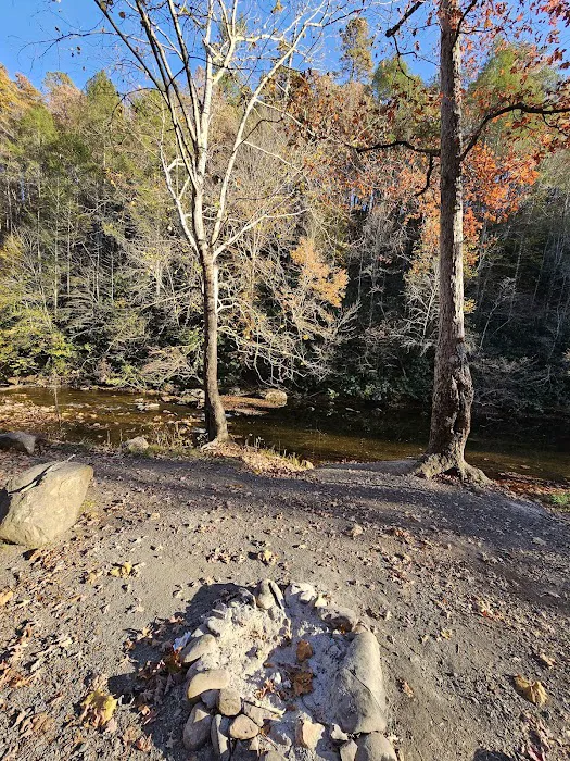 Cherokee National Forest Citico Creek Campsite 3 Picture 3
