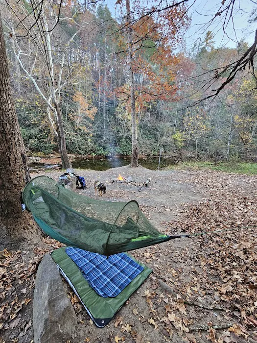 Cherokee National Forest Citico Creek Campsite 3 Picture 7