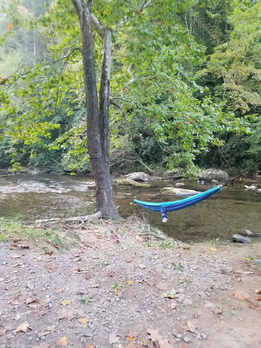 Cherokee National Forest Citico Creek Campsite 3 Picture 5