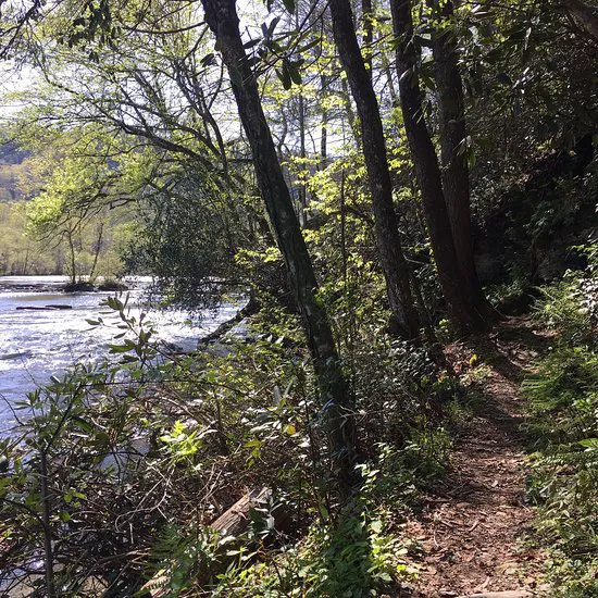 Cherokee National Forest Citico Creek Campsite 3 Picture 1