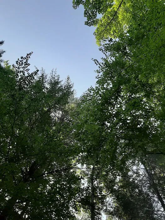 Jake Best Campground Picture 1