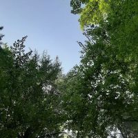 Jake Best Campground ico