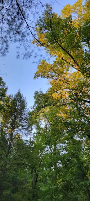 Jake Best Campground Picture 10