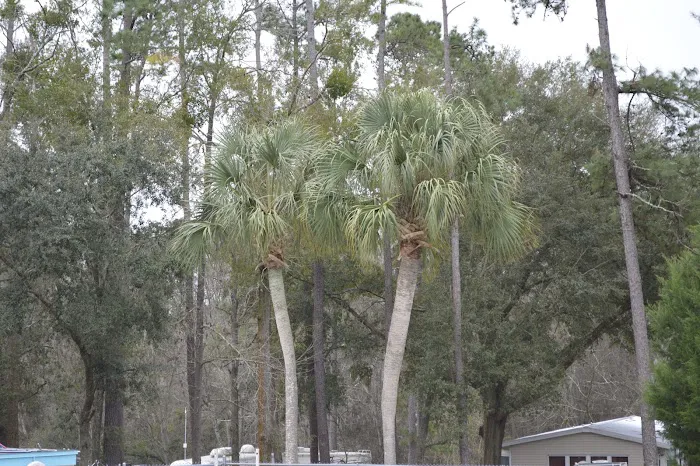 Travelers Campground Picture 3