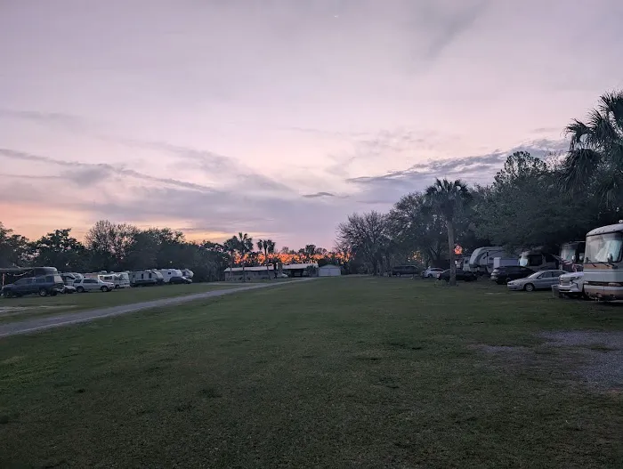 Palm RV Park Picture 2