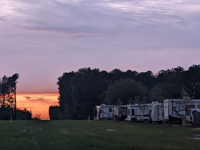 Palm RV Park Picture 3