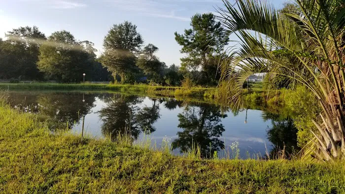 Palm RV Park Picture 10