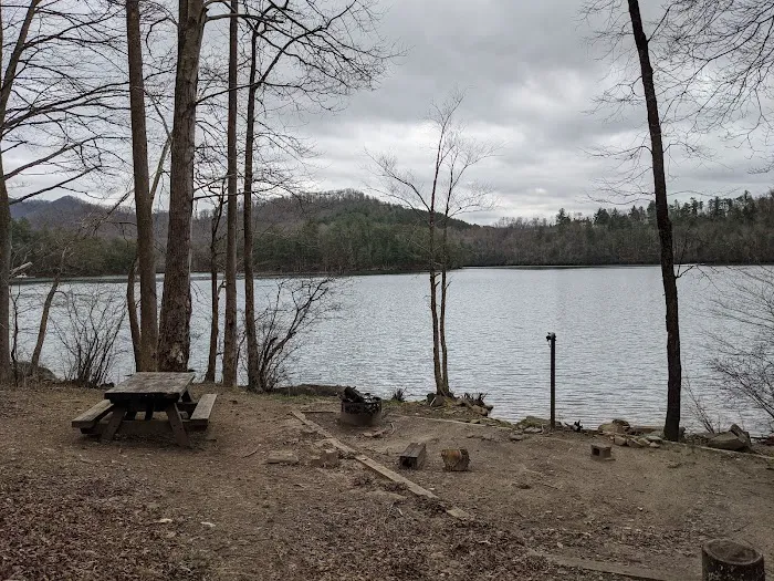 Forest Service Campsite P3 Picture 1