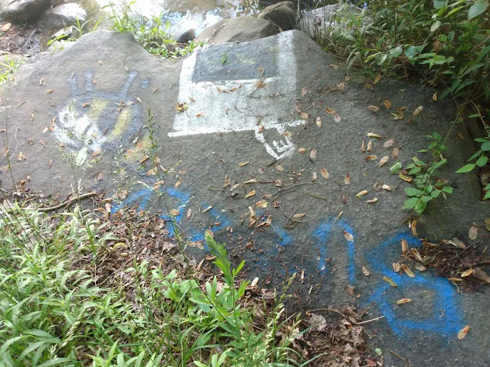 Forest Service Campsite P3 Picture 5
