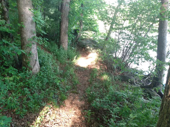 Forest Service Campsite P3 Picture 9