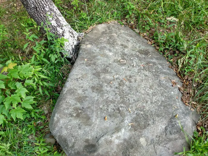Forest Service Campsite P3 Picture 7