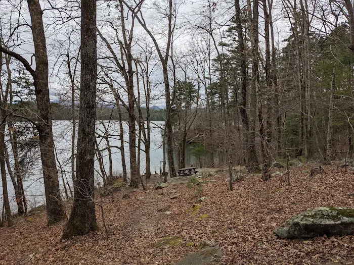 Forest Service Campsite P8 Picture 4