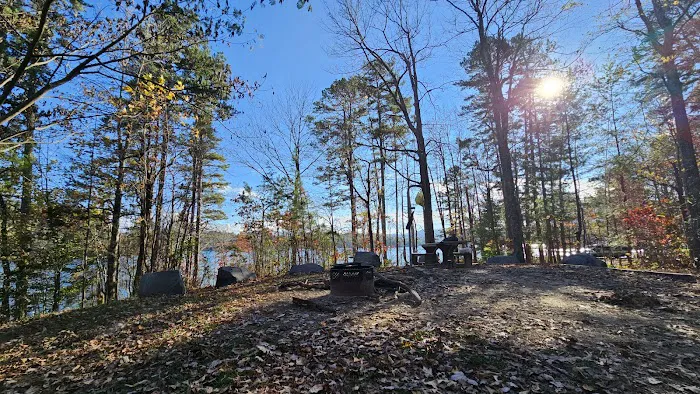 Forest service campsite 10 Picture 3