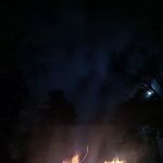 Forest service campsite 10