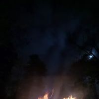 Forest service campsite 10 ico