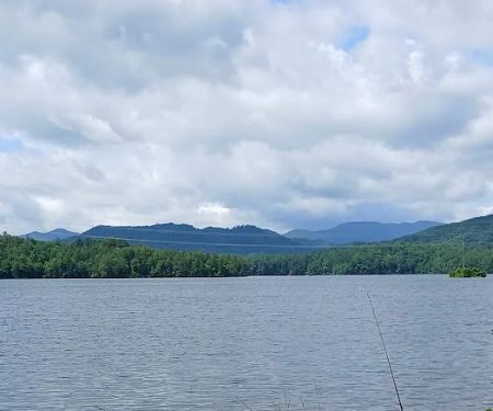 Forest Service Campsite P6