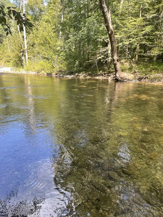 Citico Creek Campsite 9 Picture 6