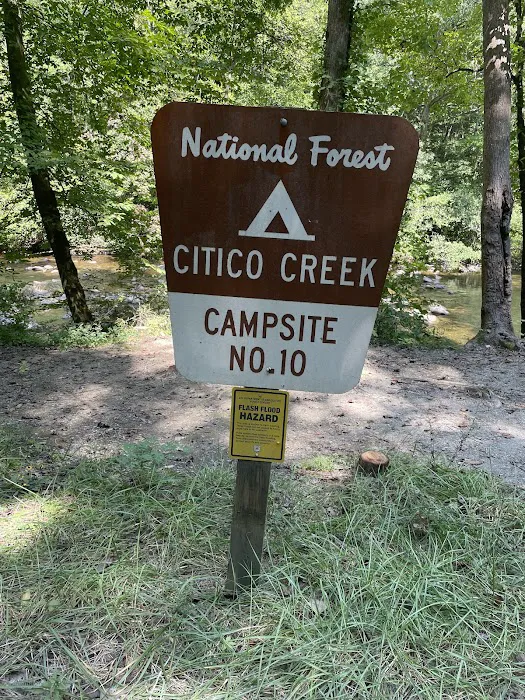 Citico Creek Campsite 9 Picture 8