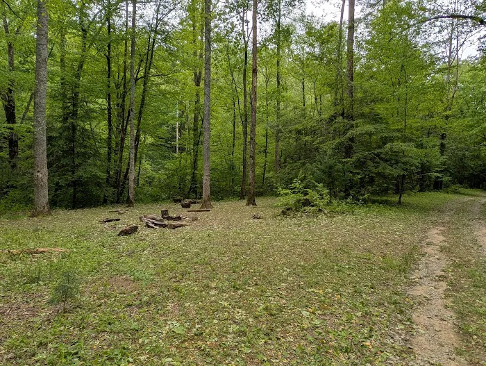 Backcountry Campsite #85 Picture 1
