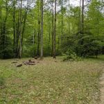 Backcountry Campsite #85