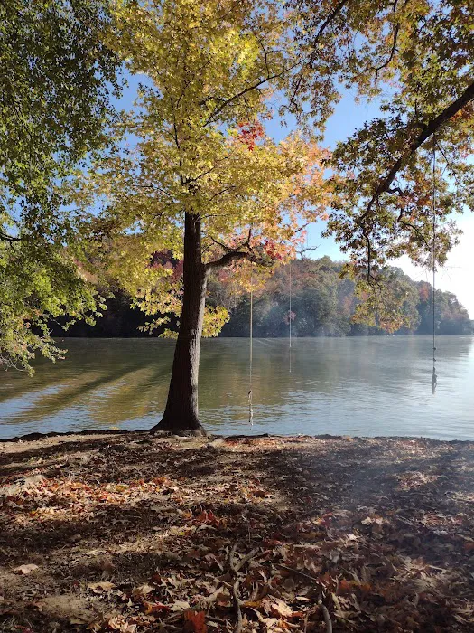 Rhea Springs Campground Picture 4