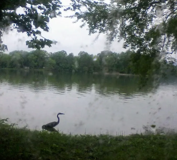 Campground Picture 3